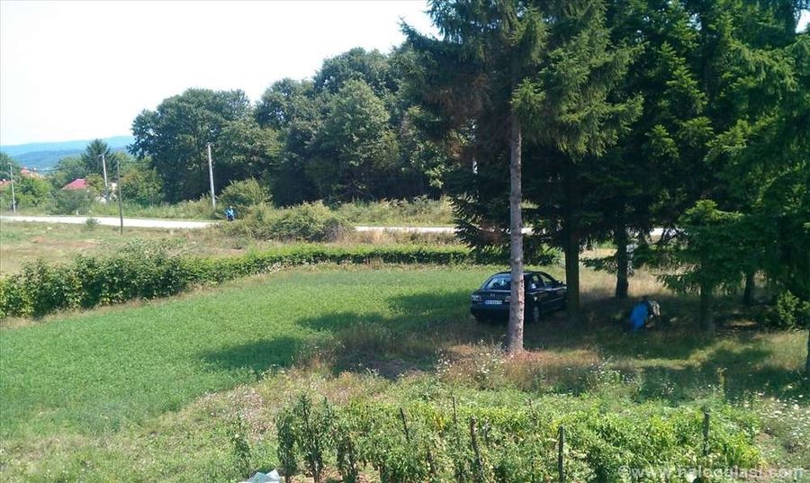 Farm Parcel For Sale 2000sqm 4 000 Kovacevac Indomio Rs