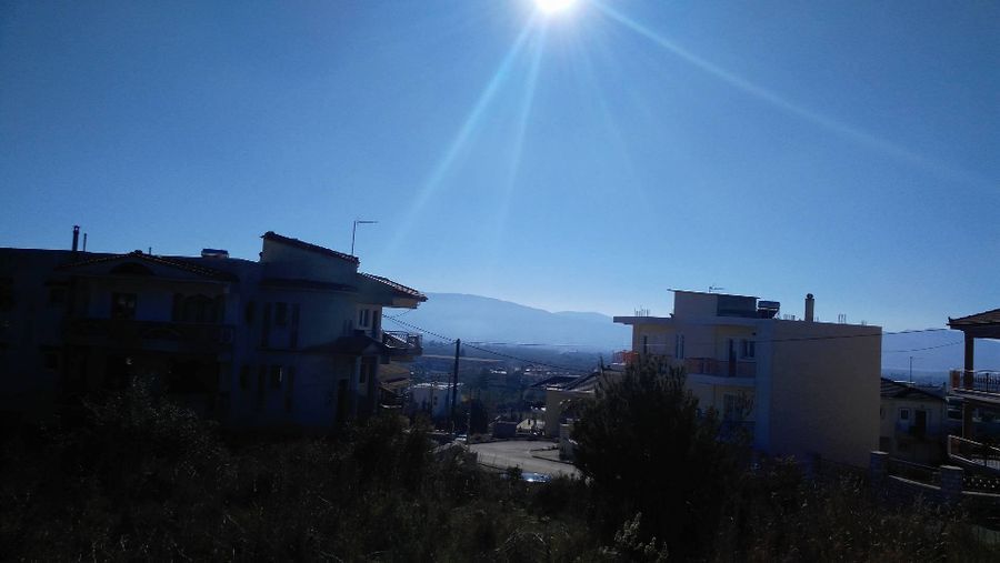 Photo 100163538