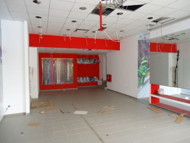 Photo 100690974