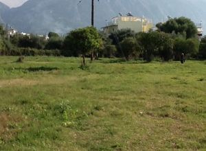 Οικόπεδο προς πώληση Καλαμάτα 4.850 τ.μ.