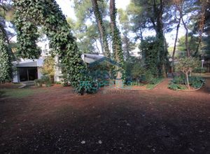 Land Plot, Kastri