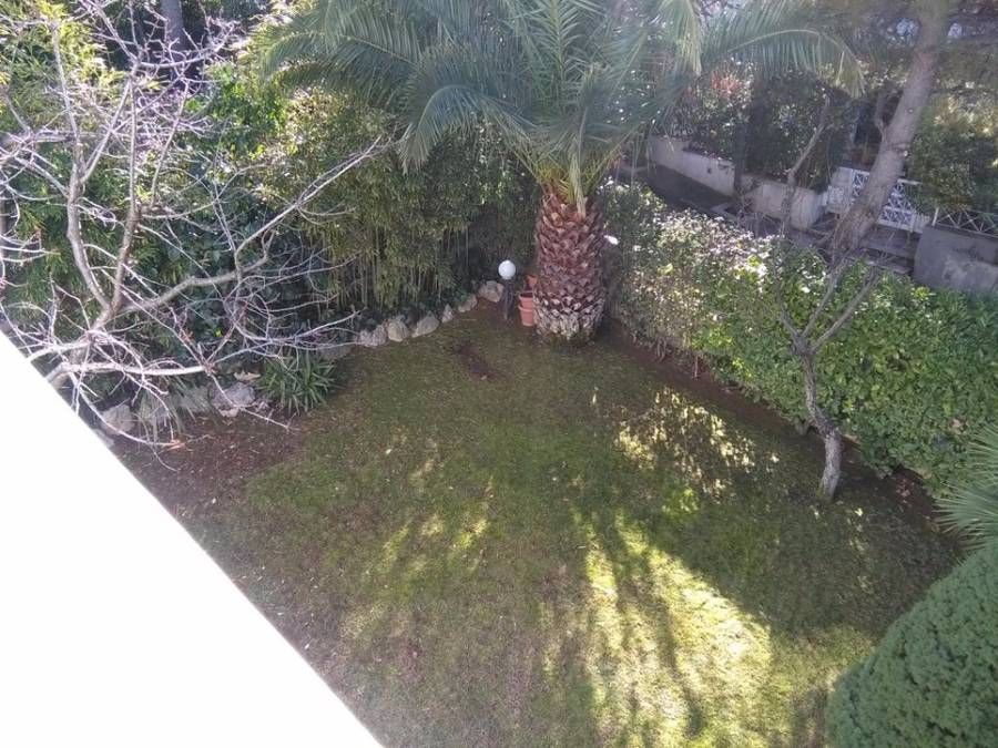 Photo 101602764