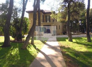 Μονοκατοικία για ενοικίαση Εκάλη 588 τ.μ. 5 Υπνοδωμάτια