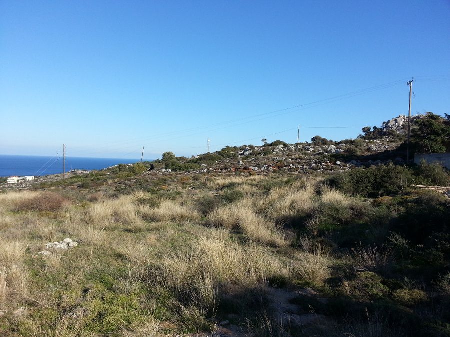 Photo 102358116