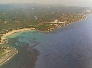 Αγροτεμάχιο προς πώληση Γαργαλιάνοι Λαγκουβάρδος 22.000 τ.μ.