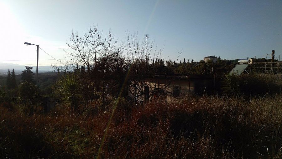 Photo 103800354