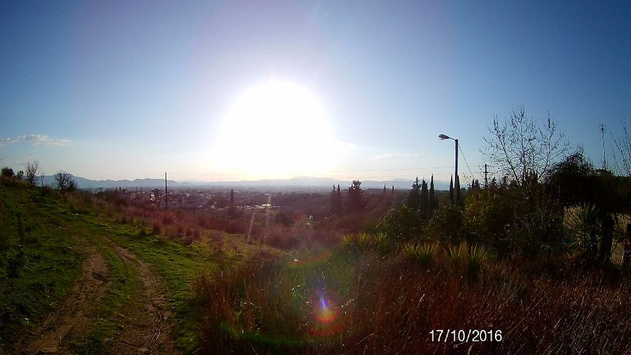 Photo 103800360