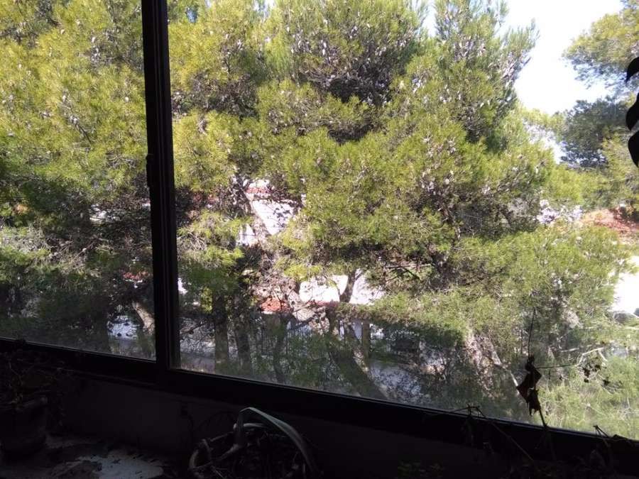 Photo 103816962