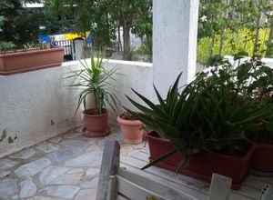 Διαμέρισμα προς πώληση Αγία Κυριακή (Κηφισιά) 210 τ.μ. 3 Υπνοδωμάτια