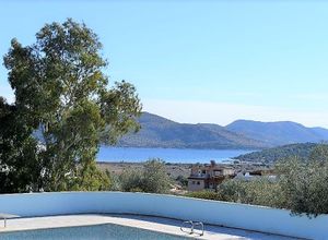 Βίλλα προς πώληση Ανάβυσσος Άγιος Νικόλαος 580 τ.μ. 7 Υπνοδωμάτια
