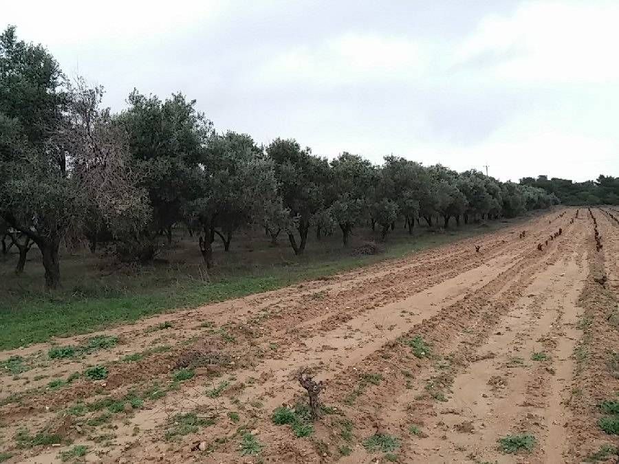 Photo 106600512