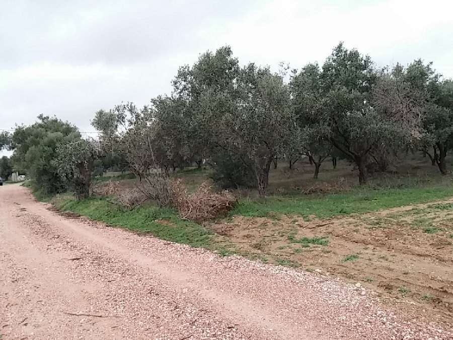 Photo 106600584