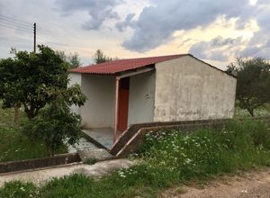 Αγροτεμάχιο προς πώληση Άριο Ασπροπουλιά 3.940 τ.μ.