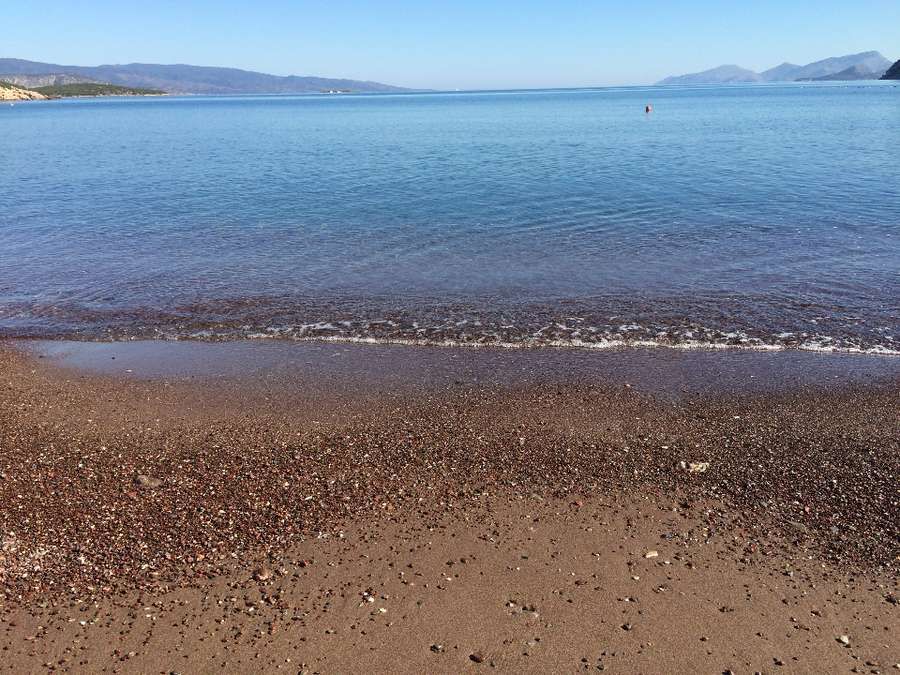 Photo 107087550