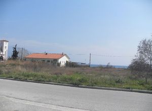 Land Plot, Nees Pagases
