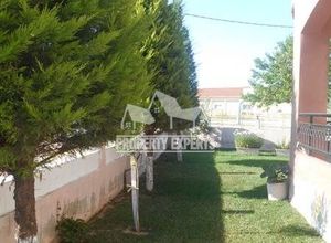 Μονοκατοικία προς πώληση Αγναντιά (Αλεξανδρούπολη) 240 τ.μ. 6 Υπνοδωμάτια