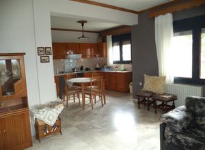 Βίλλα προς πώληση Πλατανίτης (Μαρώνεια) 284 τ.μ. 6 Υπνοδωμάτια