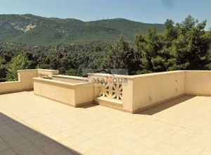 Maisonette, Dionisos