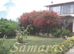 Διαμέρισμα για ενοικίαση Μαραθώνας 70 τ.μ. 2 Υπνοδωμάτια