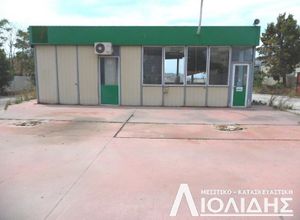 Αγροτεμάχιο για ενοικίαση Κέντρο (Πυλαία) 5.800 τ.μ.