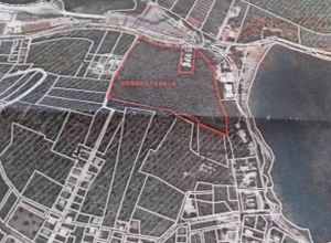 Οικόπεδο προς πώληση Μαρκόπουλο Πόρτο Ράφτη 40.000 τ.μ.