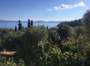 Διαμέρισμα προς πώληση Φαίακες (Κέρκυρα) 63 τ.μ. 1 Υπνοδωμάτιο