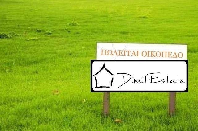Plot Paros