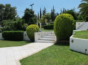 Μονοκατοικία προς πώληση Παιανία 550 τ.μ. 6 Υπνοδωμάτια