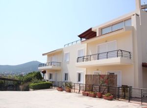 Μονοκατοικία, Πόρτο Ράφτη