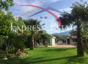 Μονοκατοικία προς πώληση Άγιος Παντελεήμονας (Μαραθώνας) 120 τ.μ. 3 Υπνοδωμάτια