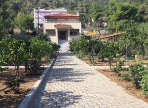 Διαμέρισμα προς πώληση Πευκάλι (Σολύγεια) 350 τ.μ. 1 Υπνοδωμάτιο