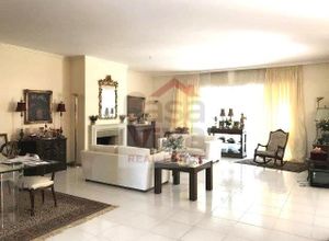Maisonette, Politeia