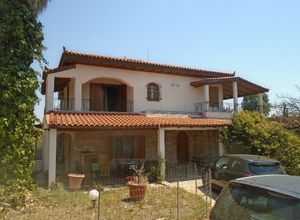 Μονοκατοικία προς πώληση Αγία Τριάδα (Μαρκόπουλο) 300 τ.μ. 4 Υπνοδωμάτια