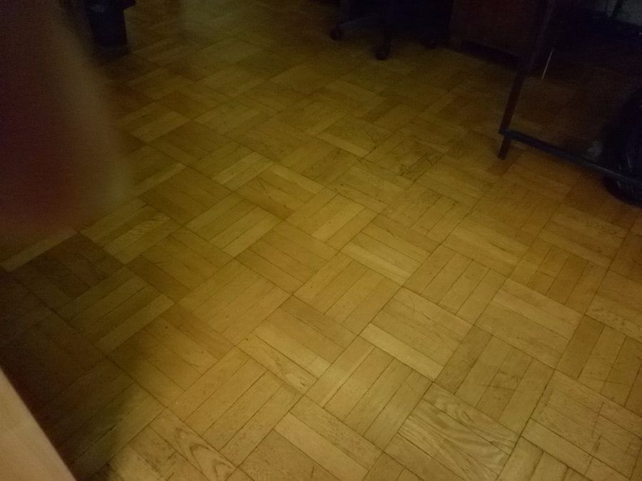 Photo 113466465