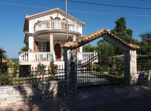 Detached House, Main town area