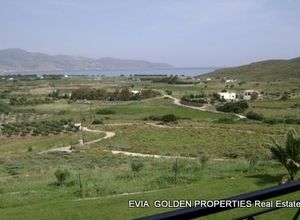 Βίλλα προς πώληση Κάρυστος 290 τ.μ. 4 Υπνοδωμάτια