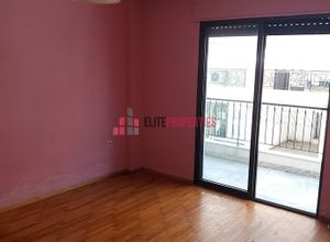 Apartment, Triandria