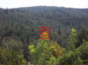 Διαμέρισμα προς πώληση Ροδοχώρι (Συκιές) 82 τ.μ. 2 Υπνοδωμάτια
