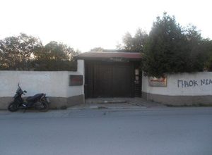 Store, Nea Krini