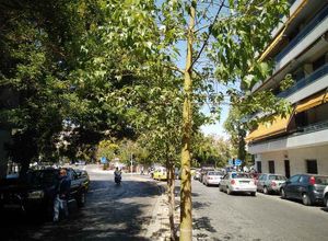 Οικόπεδο προς πώληση Hilton (Ιλίσια) 163 τ.μ.