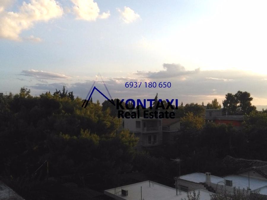 Photo 118029411