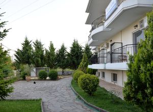 Πώληση, Ξενοδοχείο, Πεδινή (Μπιζάνιο)