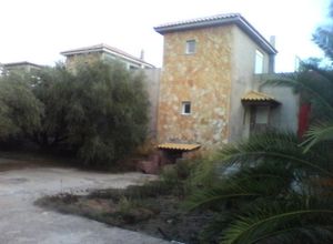 Μεζονέτα προς πώληση Μεσσήνη Άγιος Αυγουστίνος 114 τ.μ. 1 Υπνοδωμάτιο