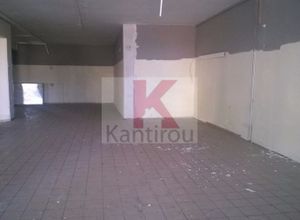 Store, Terpsithea