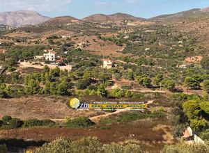 Αγροτεμάχιο προς πώληση Κερατέα 4.000 τ.μ.