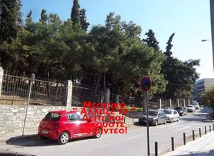 Διαμέρισμα για ενοικίαση Άλσος (Συκιές) 70 τ.μ. 2 Υπνοδωμάτια Νεόδμητο