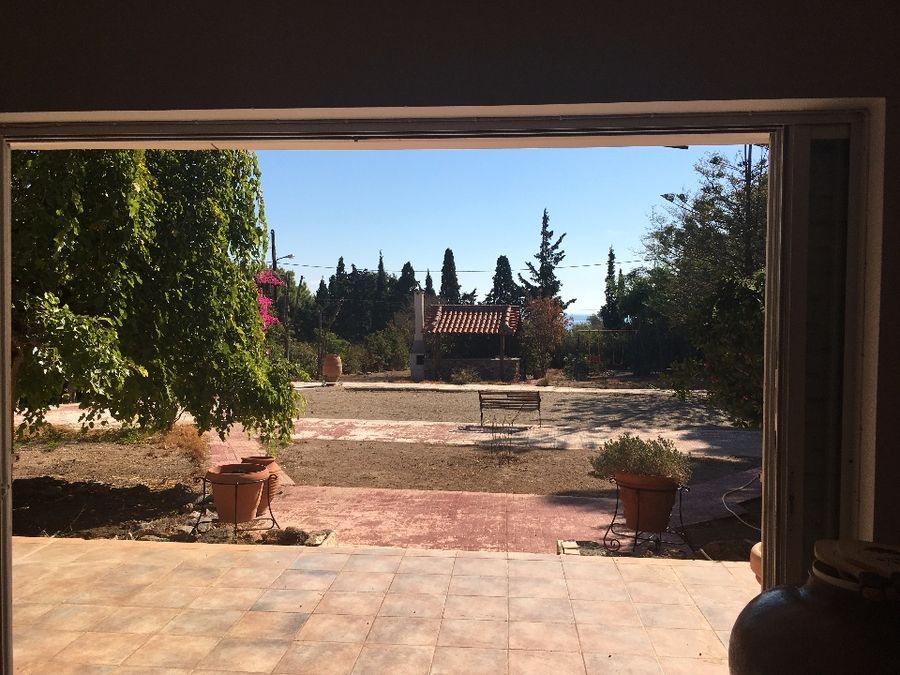 Photo 121094379
