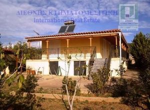 Μονοκατοικία προς πώληση Νέα Πέραμος (Μεγάλο Πεύκο) 66 τ.μ. 2 Υπνοδωμάτια