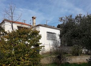Μονοκατοικία προς πώληση Διαλεκτό (Χρυσούπολη) 90 τ.μ. 2 Υπνοδωμάτια