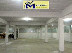 Βιοτεχνικός χώρος, Βοτανικός